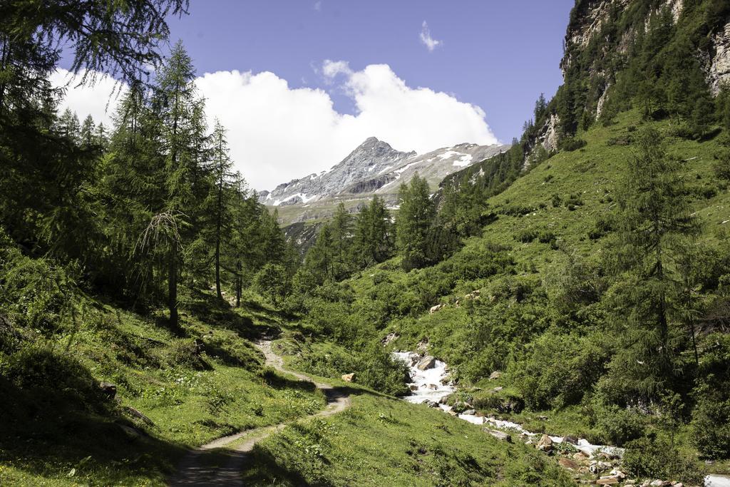 Obermuehle Lägenhet Rauris Exteriör bild